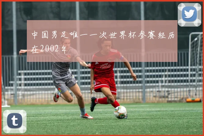 中国男足唯一一次世界杯参赛经历在2002年